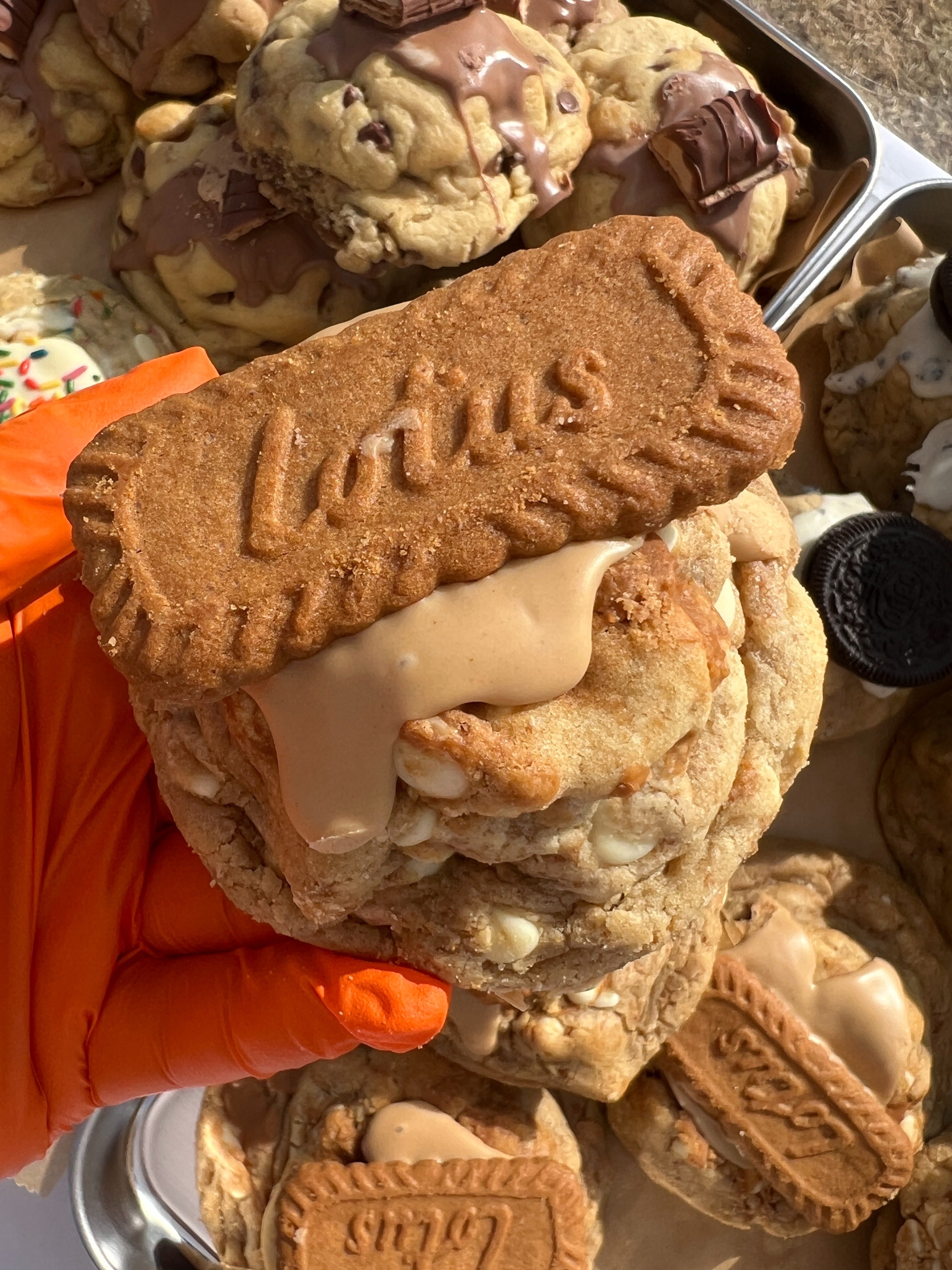 Biscoff Stuffed Cookie